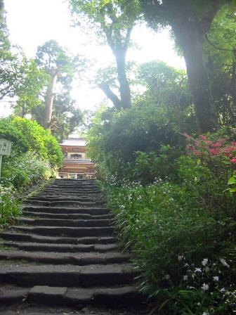 北鎌倉・浄智寺入口。ツツジの見頃も待ち遠しい…