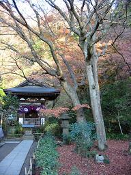 寺の一番奥に在る梅の季節がお薦めな場所。紅葉の季節もココは何気に絵になる。