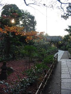 そしてそこからも振り返り系。陽がちょうど木々の間にすっぽりと。