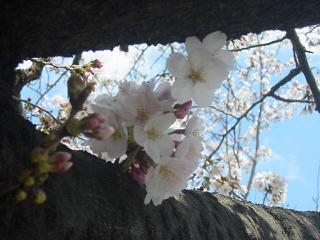 控え目だけど可愛い♪