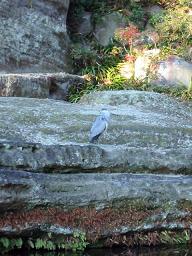 戻り道。虎頭岩の所に動く(実際は微動だにせず)謎の物体Ｘが？！