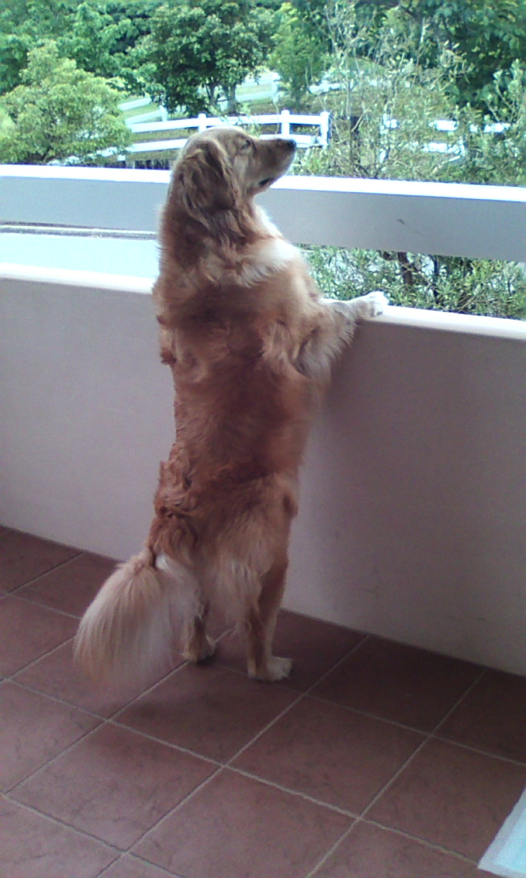 携帯カメラ 083.JPG