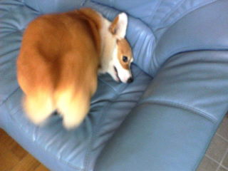 20060402_201437782.JPG