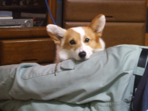 20070128_201741469.JPG
