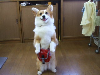 20060823_155259610.JPG