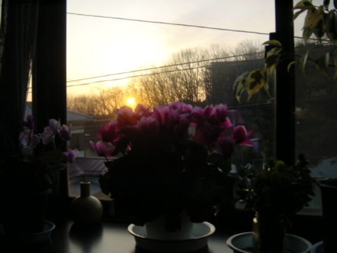 DSC01289.JPG