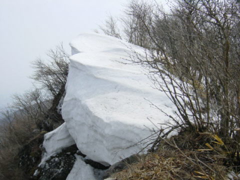 DSC01390.JPG