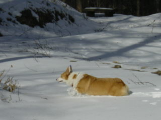20060109_210117672.JPG
