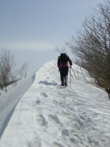 20060404_165632016.JPG