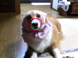 DSC00545.JPG