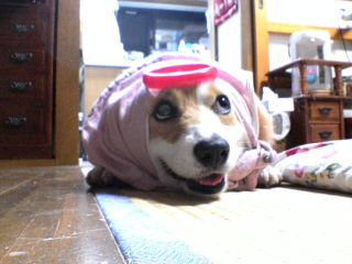 DSC00546.JPG