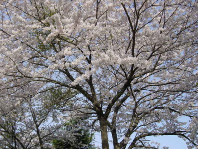 DSC01591.JPG