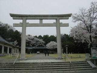 20060410_200738001.JPG