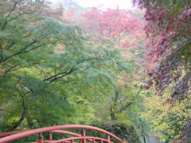 2005-11-05 20:25:35