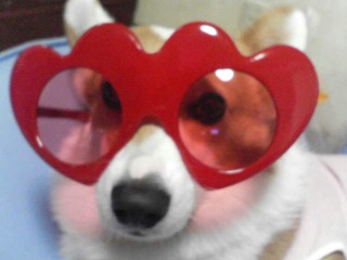 20060728_212829407.JPG