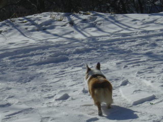 20060112_124945579.JPG