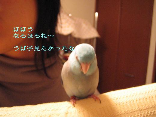 2006122 003.jpg