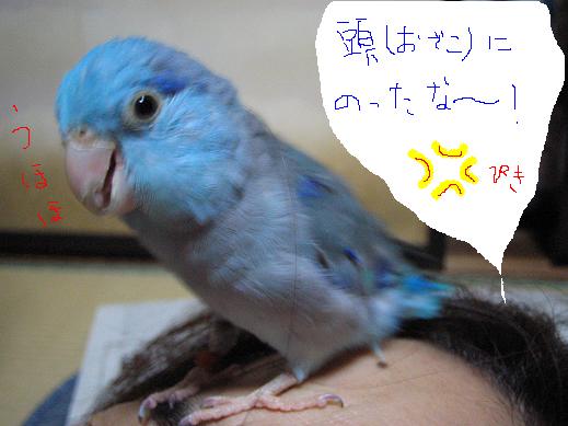 2005-10-09 07:29:38