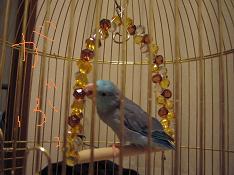 2005-10-10 18:51:53
