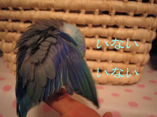 2006127 055.jpg