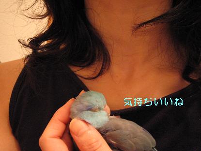 520 042.jpg