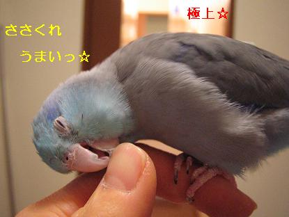 2005-12-08 17:25:31