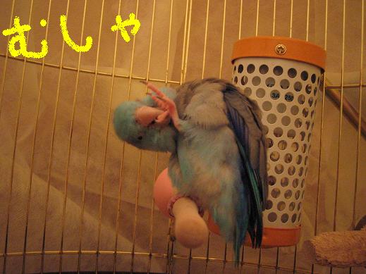 2006114 030.jpg