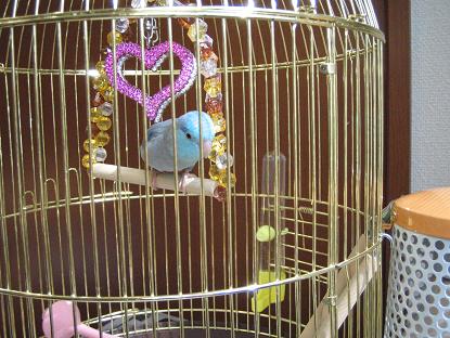2005-10-23 20:51:17