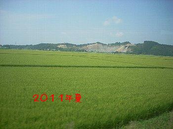 ２０１１田園