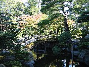 京都御所の庭