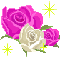 きらきらローズ.GIF