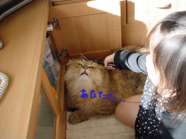 してあげたい女5