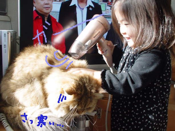 してあげたい女6