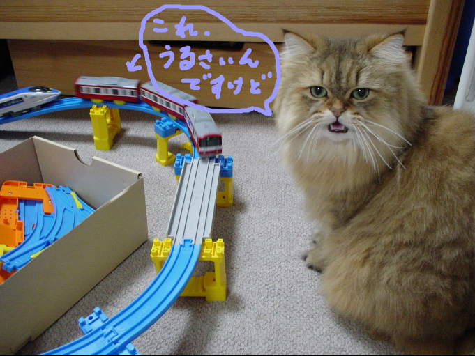 うるさいんですけど・・・