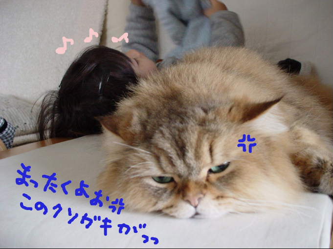 クソガキがっっ