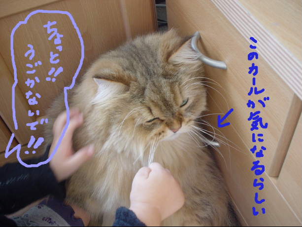 してあげたい女2.2