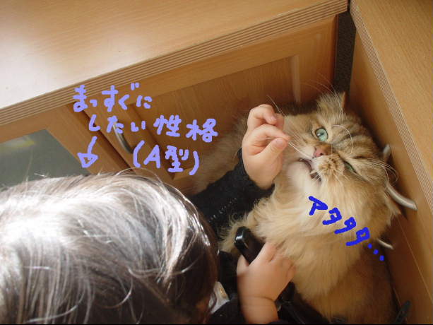 してあげたい女2.3