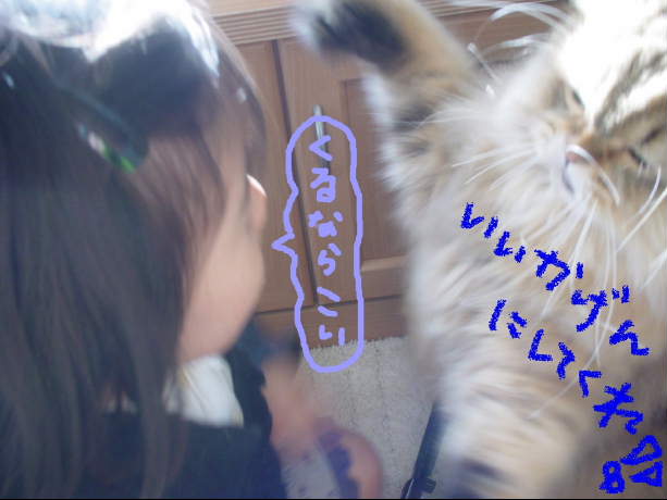 してあげたい女2.4