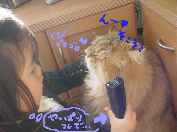 してあげたい女2.5