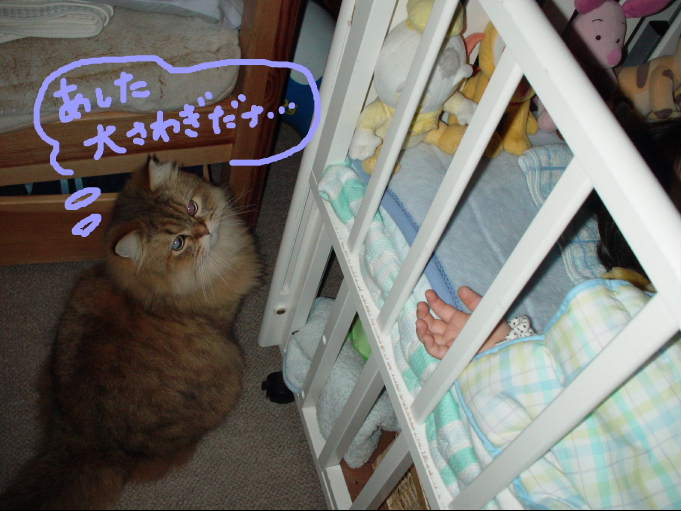 あしたは大さわぎ・・・