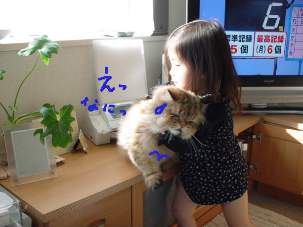 してあげたい女2