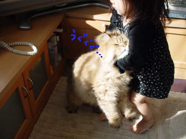 してあげたい女3