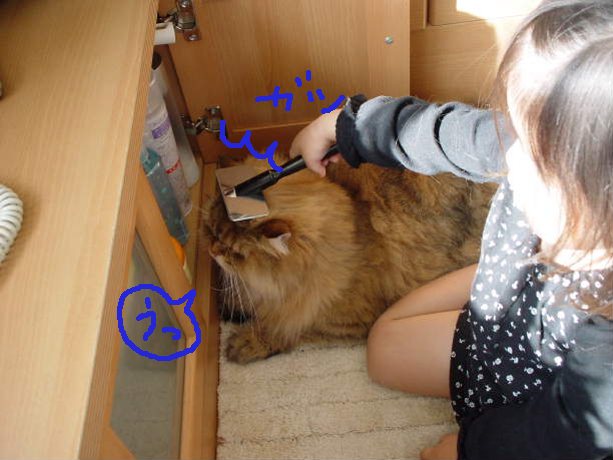 してあげたい女4