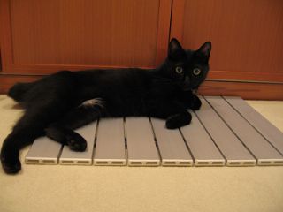 アルミボードですニャ