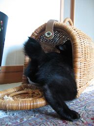 チェックは入念に・・・