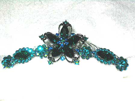 ドレッシージュエルだ～！