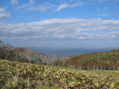 尻羽岬からの景色
