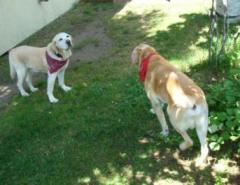 また来るからねー♪