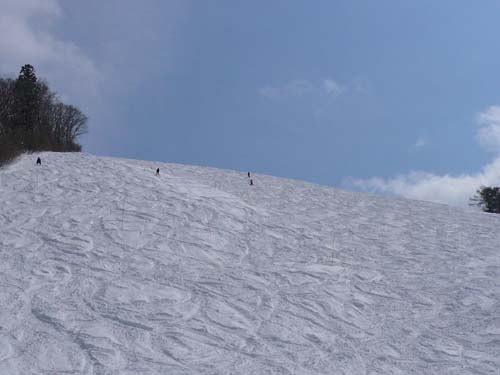 野沢温泉スキー場コブ斜面