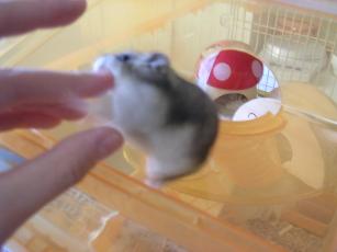 kinako061121 いたい！